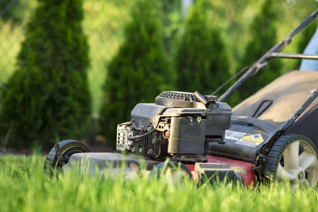 comparatif tondeuse electrique